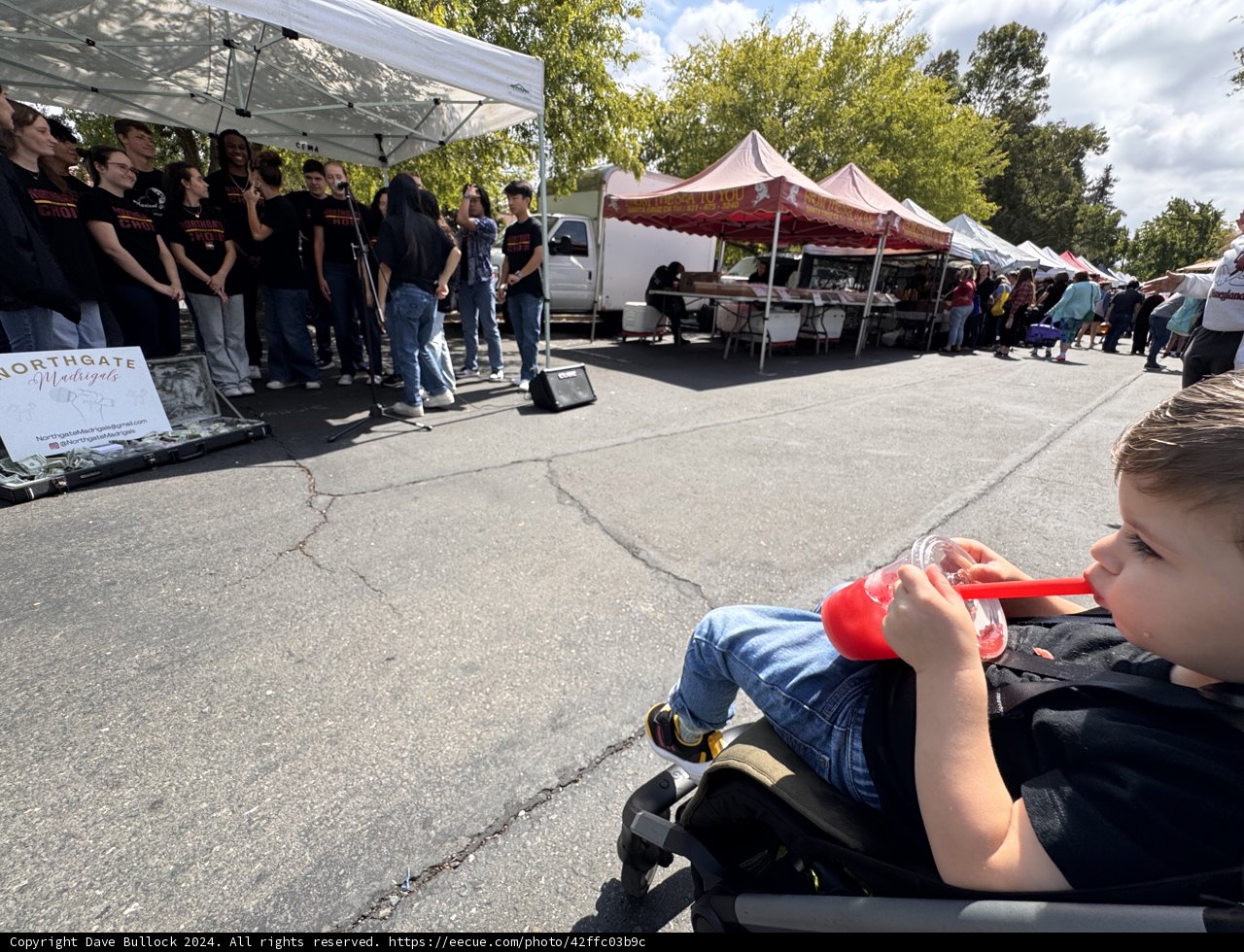 Harmony in the Heart of Walnut Creek
