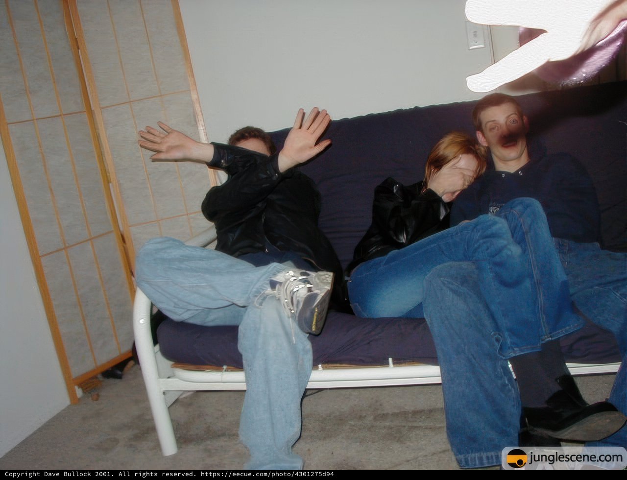 Lounging on the Couch