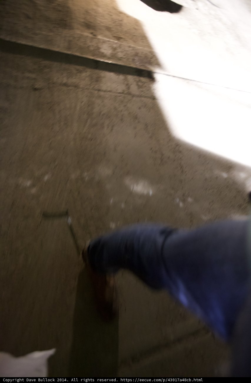 The Urban Walker