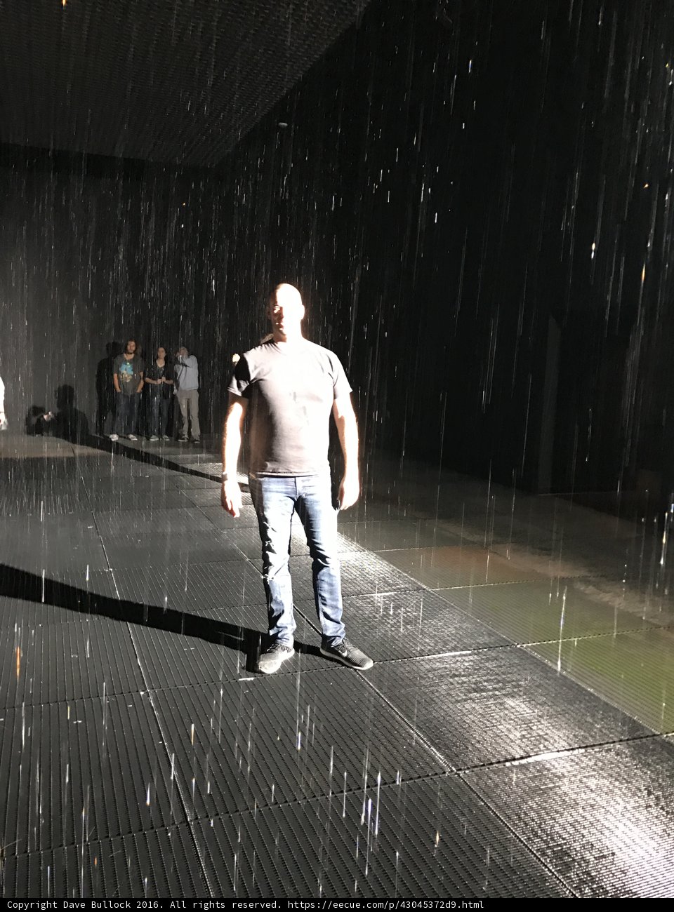 Standing in the Rain