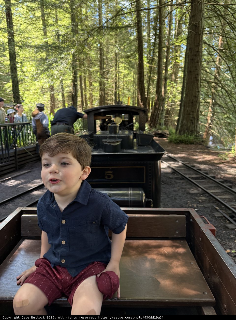 Joyful Adventure on the Woodland Express