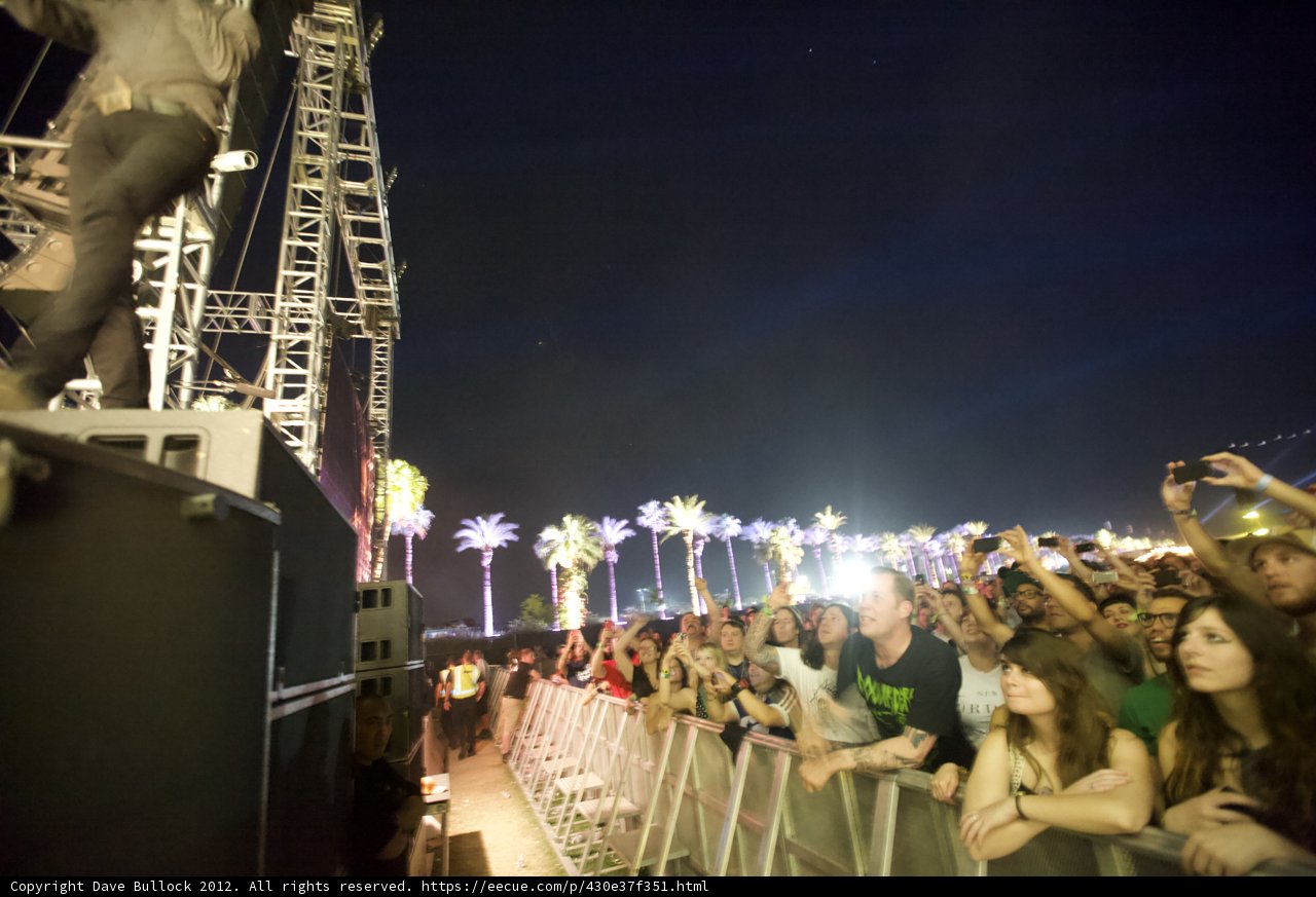 Concert Under the Night Sky