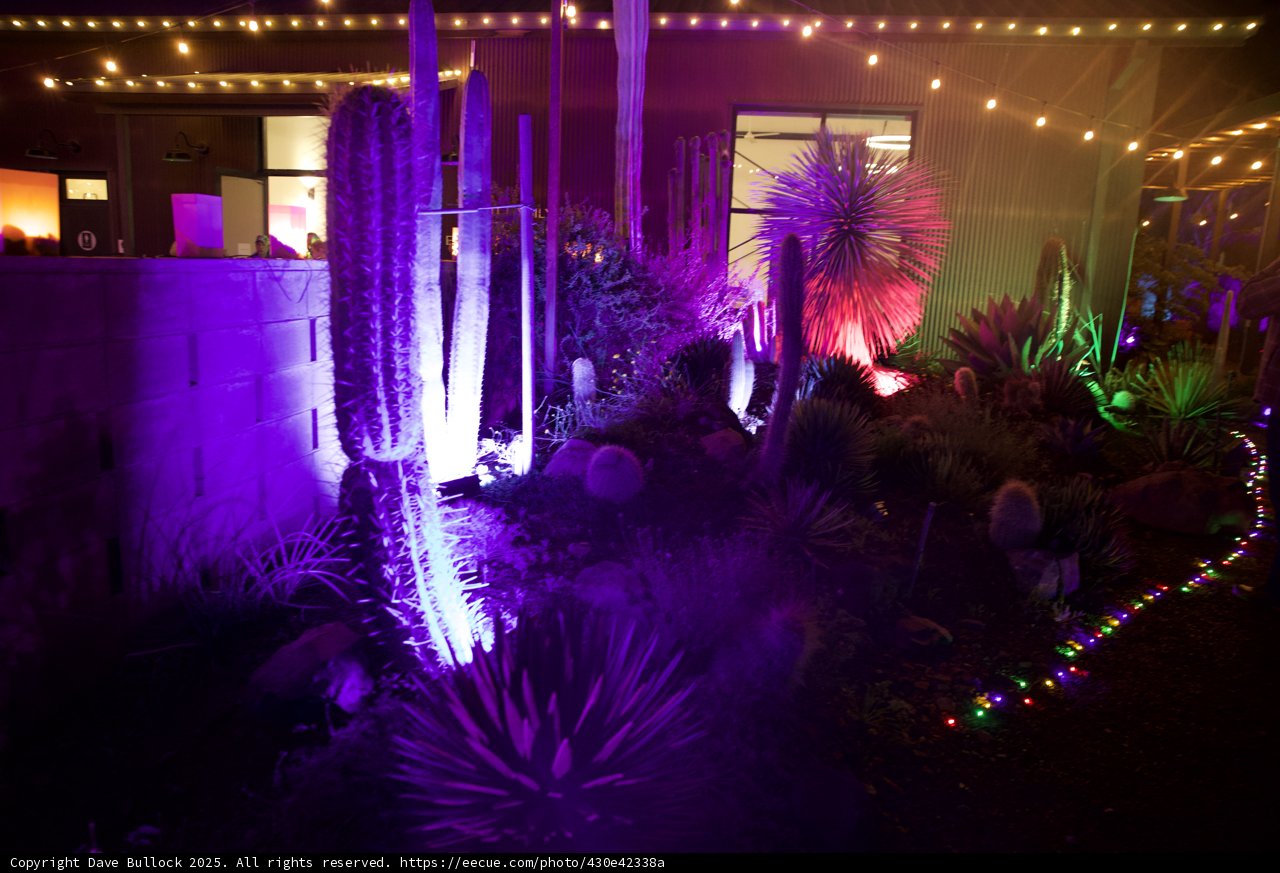 Enchanted Night in the Garden of D'Lights