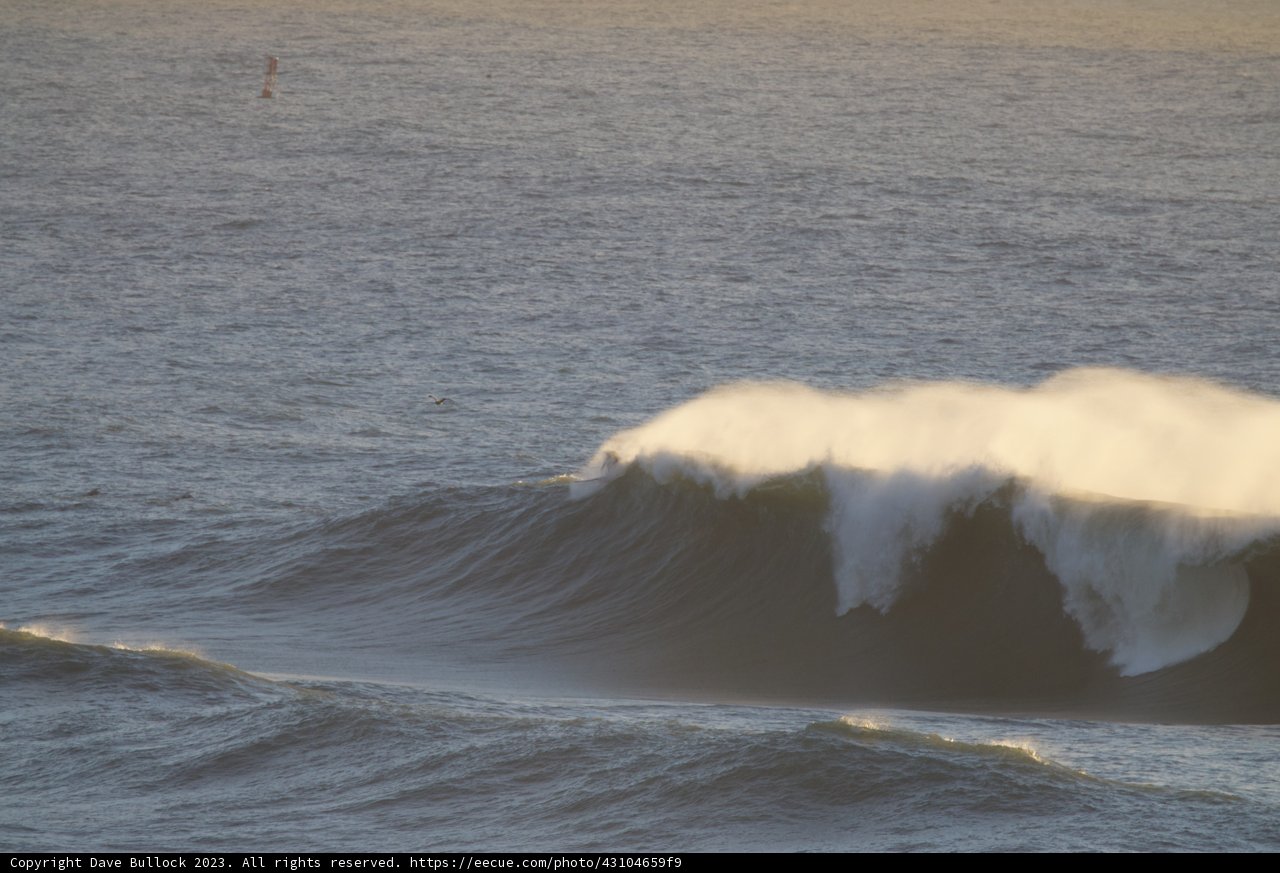 The Majestic Break - Big Surf Day, 2023