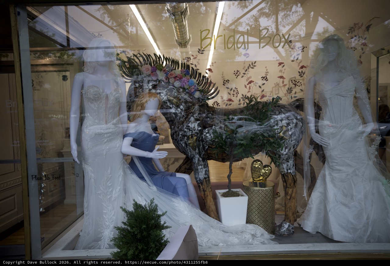 Bridal Box Wedding Dress Shop Window Display