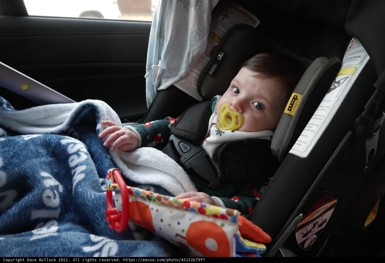 Baby's First Road Trip