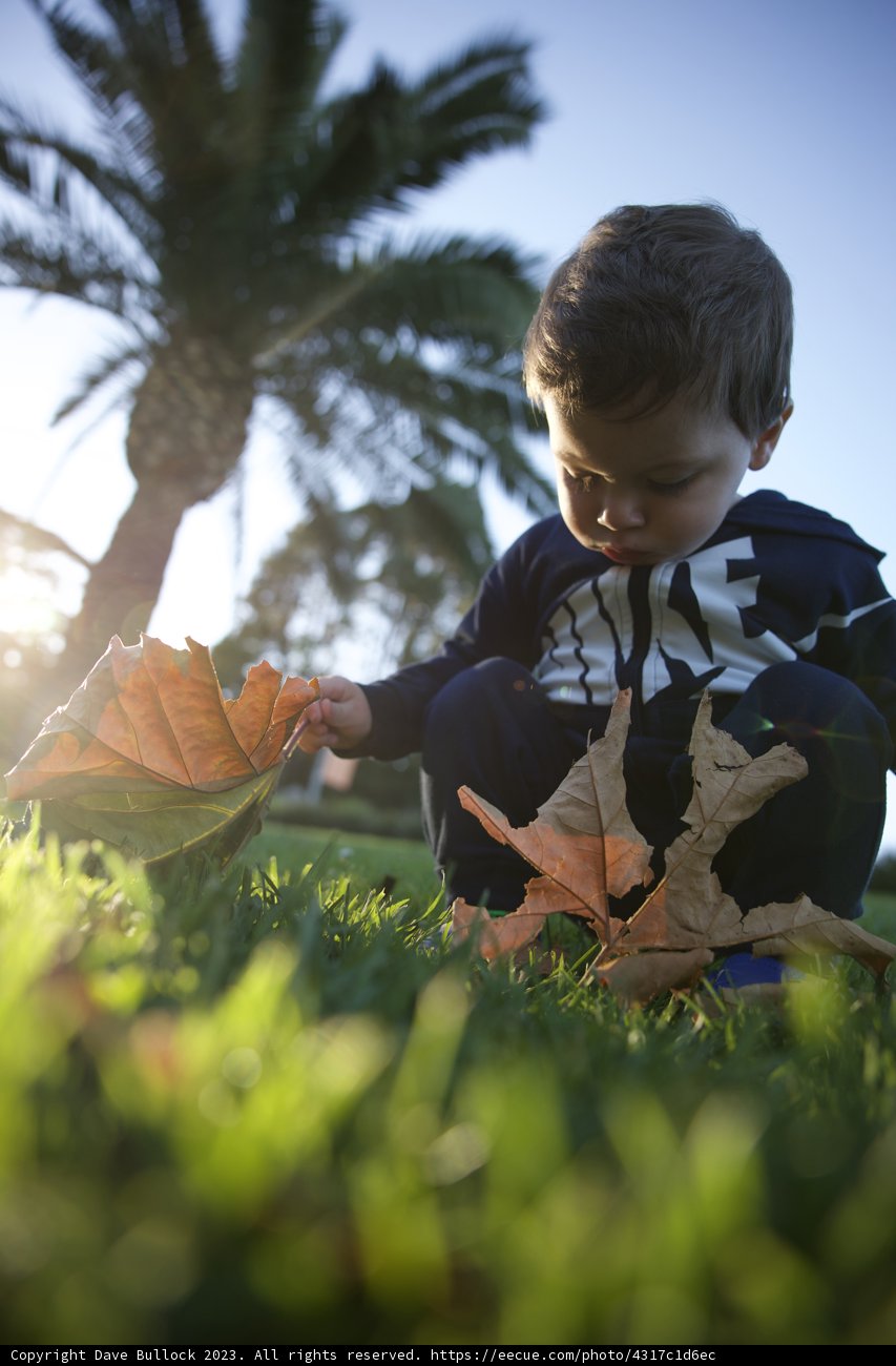 Childhood Dances with Autumn