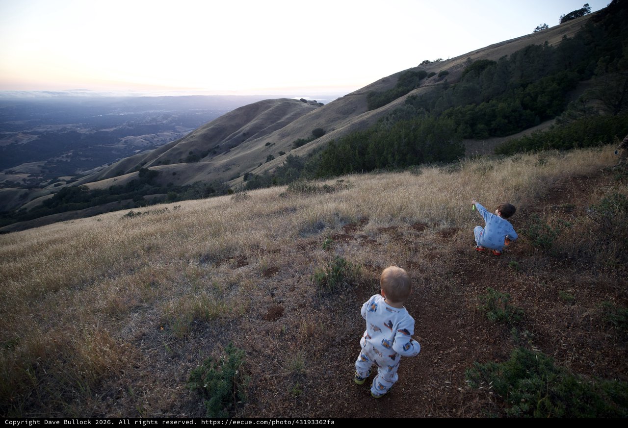 Two Toddlers Explore Mount Diablo at Dusk