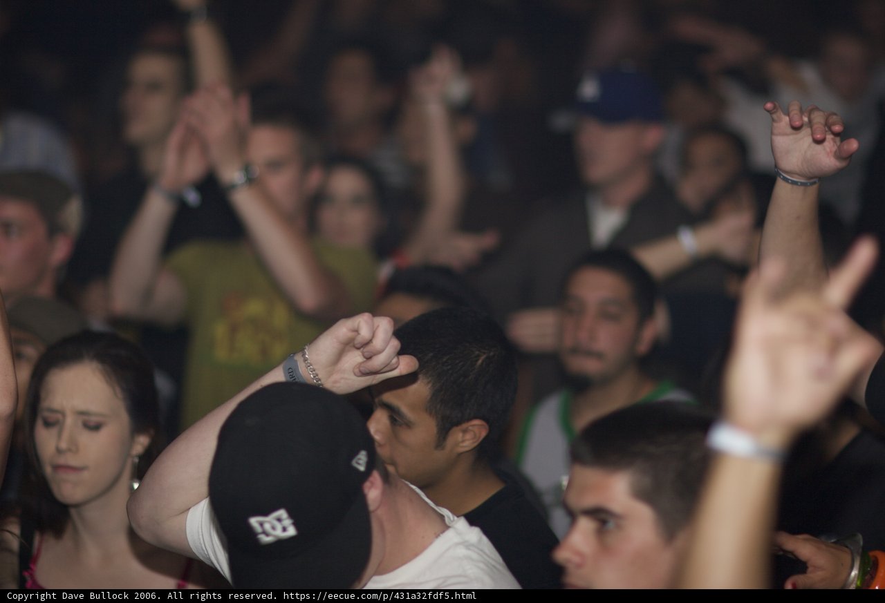 Funky Crowd