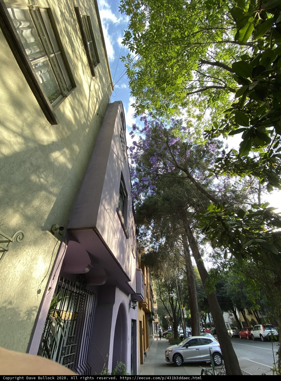 A Vibrant Urban Oasis