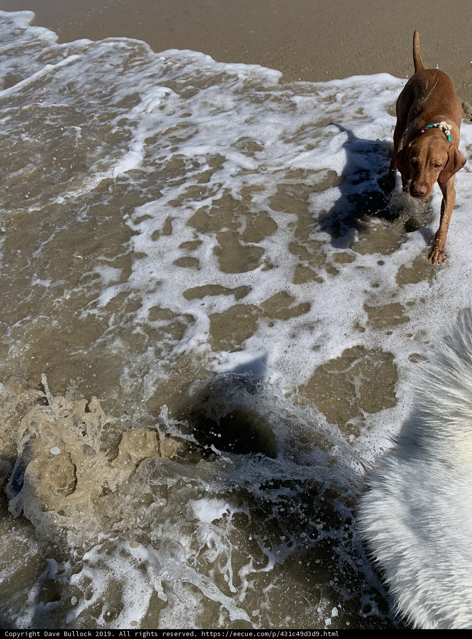 Playing in the Waves
