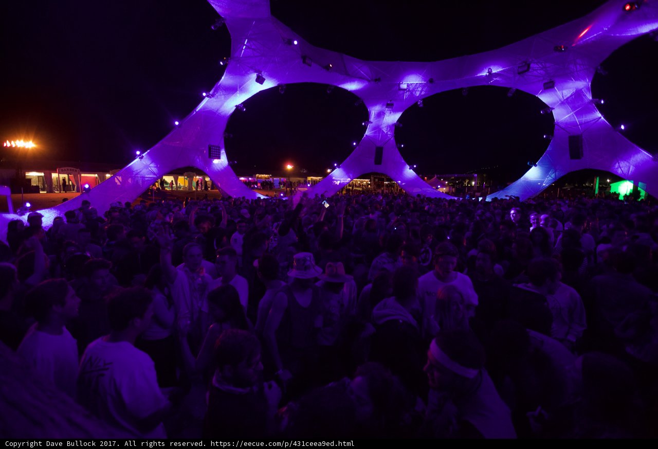 Purple Night Party