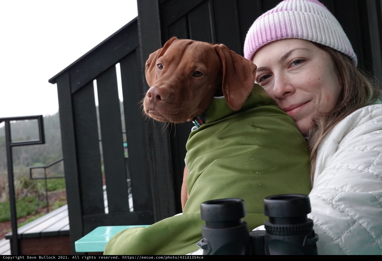Woman and Dog's Cozy Outdoor Moment Together