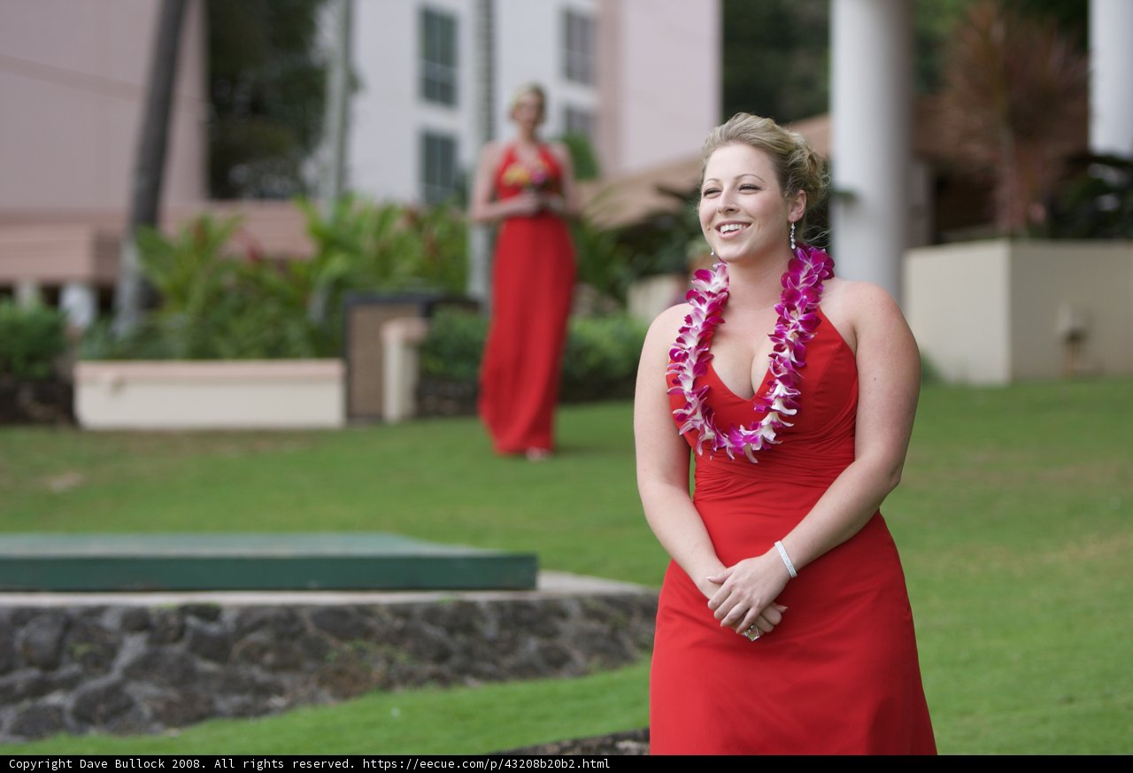 A Red Dress Amongst the Flowers