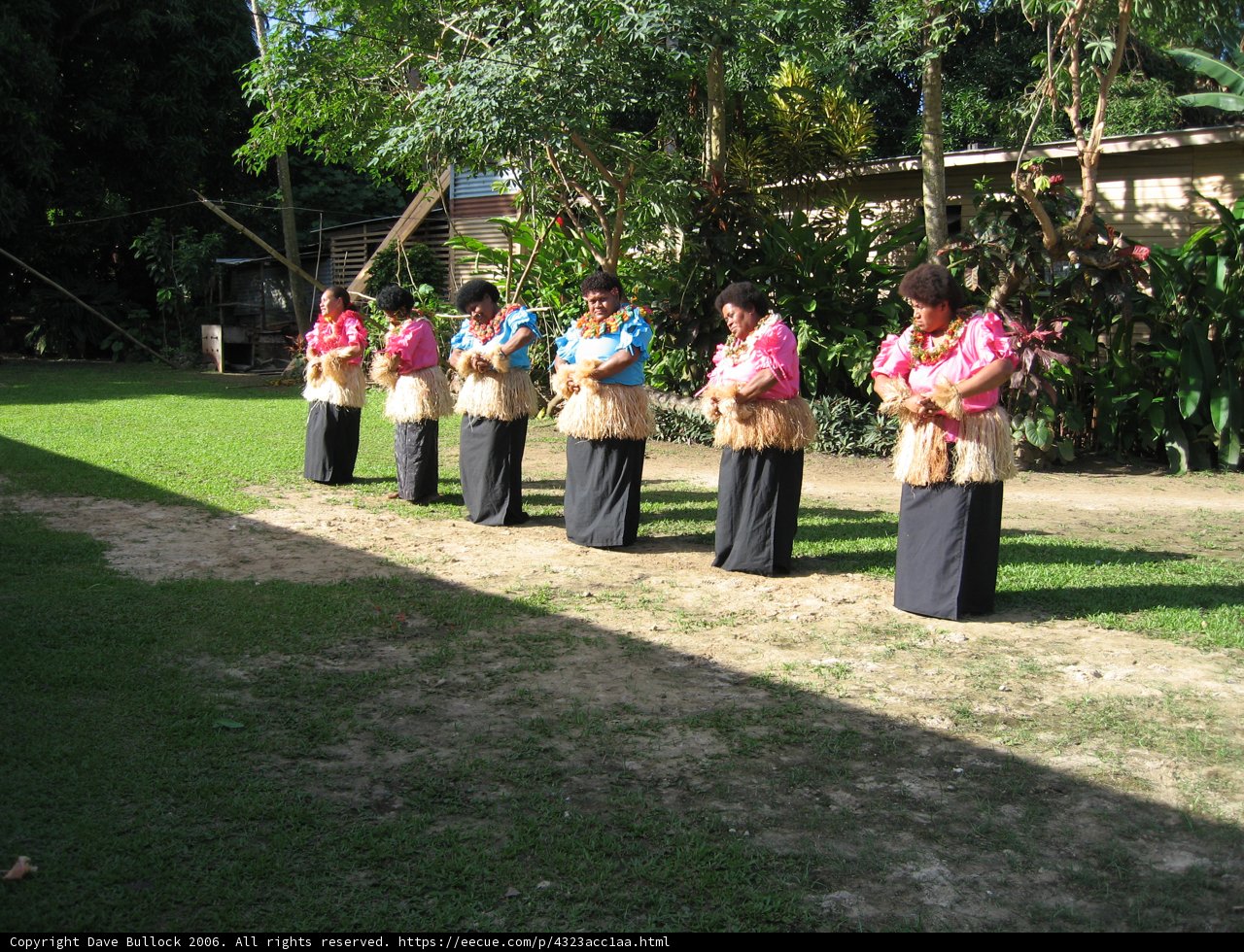 Traditional Hula Performance in a Flower Garden