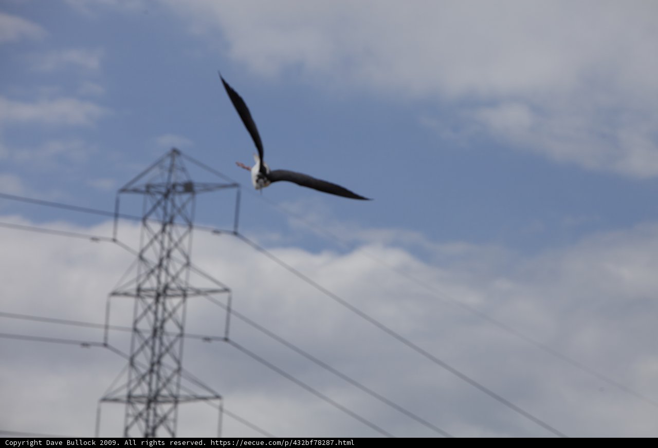 Flying over the Grid