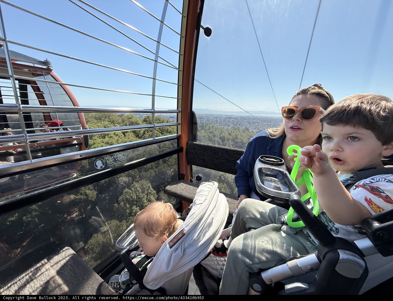 Skyward Adventure at Oakland Zoo