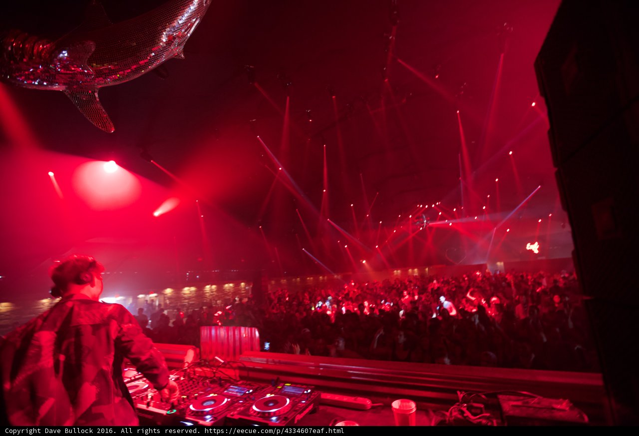 Rocking the Crowd at Coachella