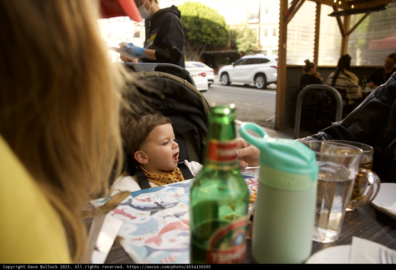 Unexpected Table Guest - Wesley, 2023