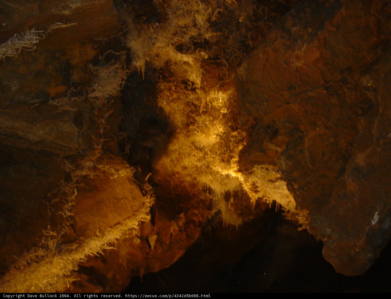 Illuminated Mysteries