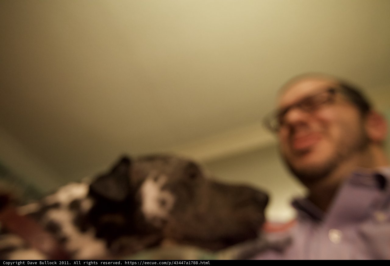 Man and his Furry Companion