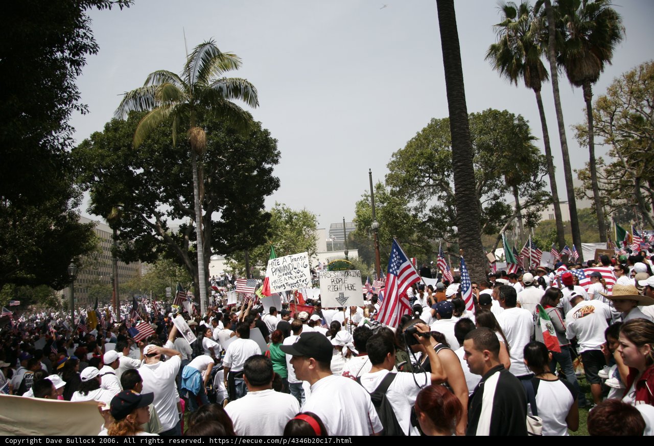 Protesters Rally Against Government Policies