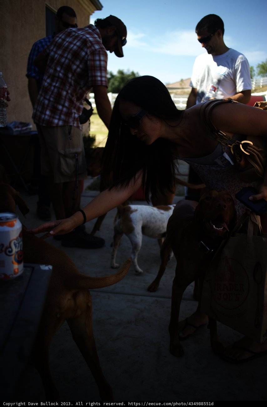 Woman and her Four-legged Friend
