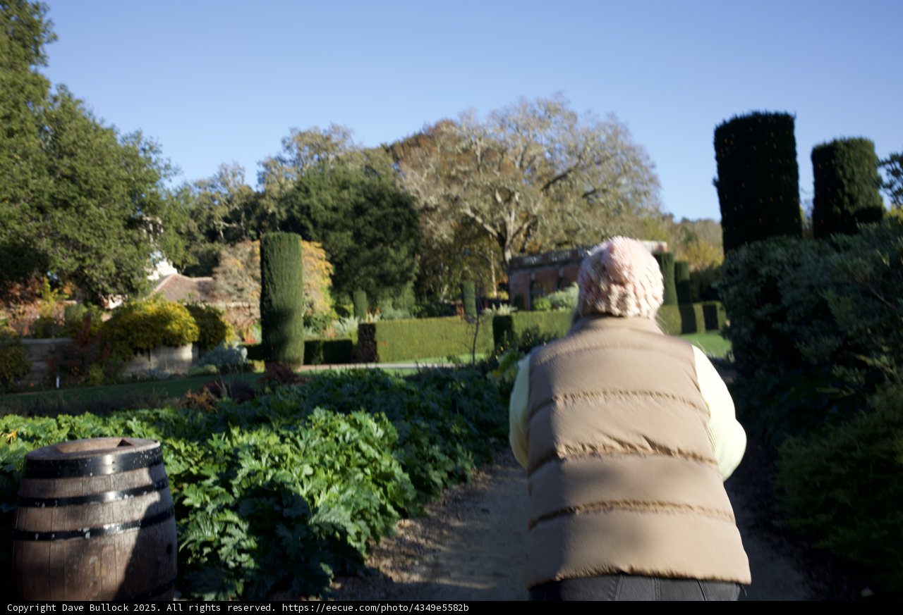 Tranquil Stroll through Thistlewyck Gardens