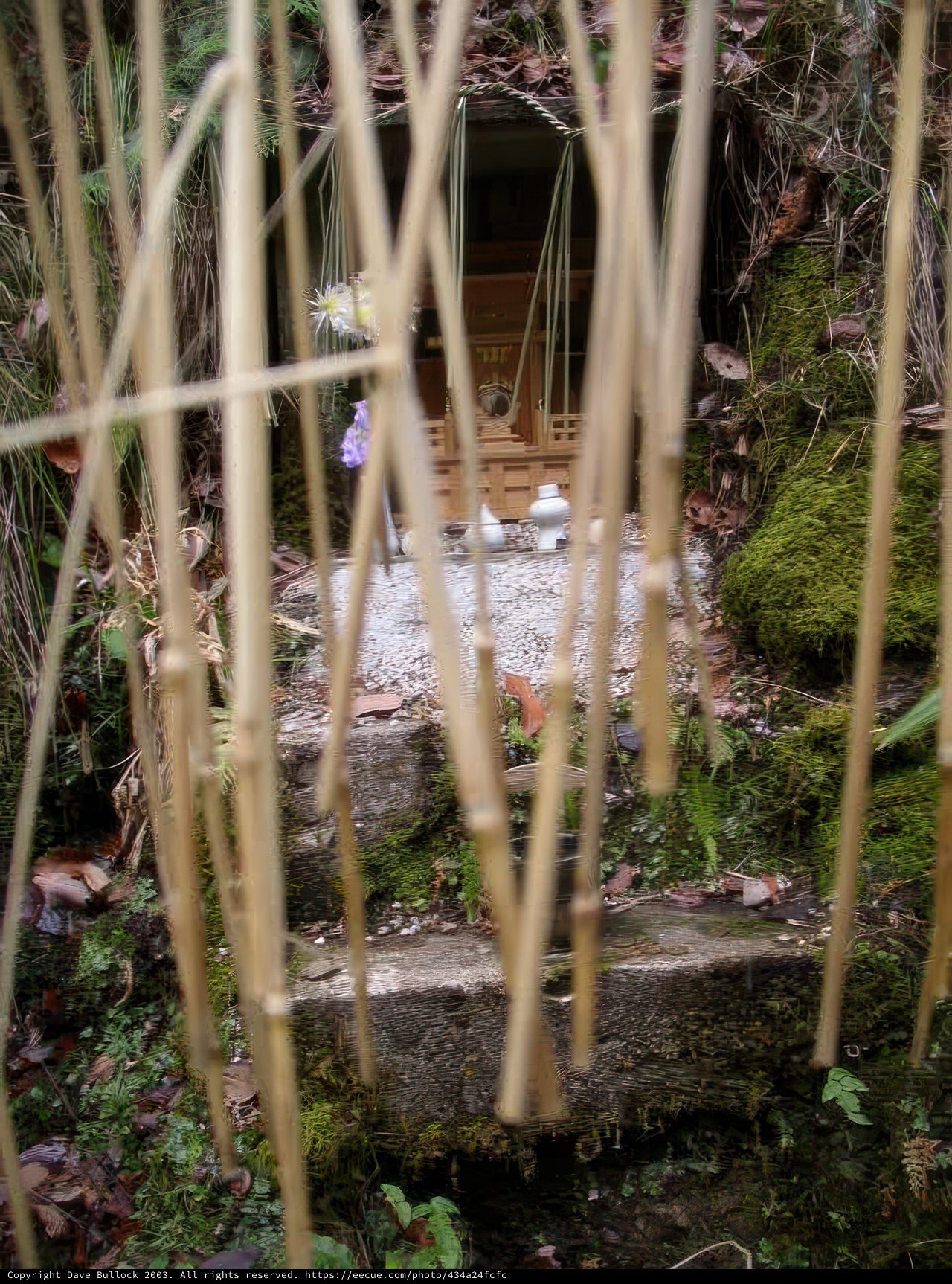 Shrine Within a Shrine in Kyoto's Woods