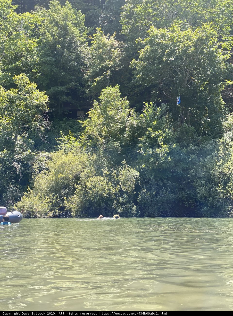 Rafting through the Scenic Russian River
