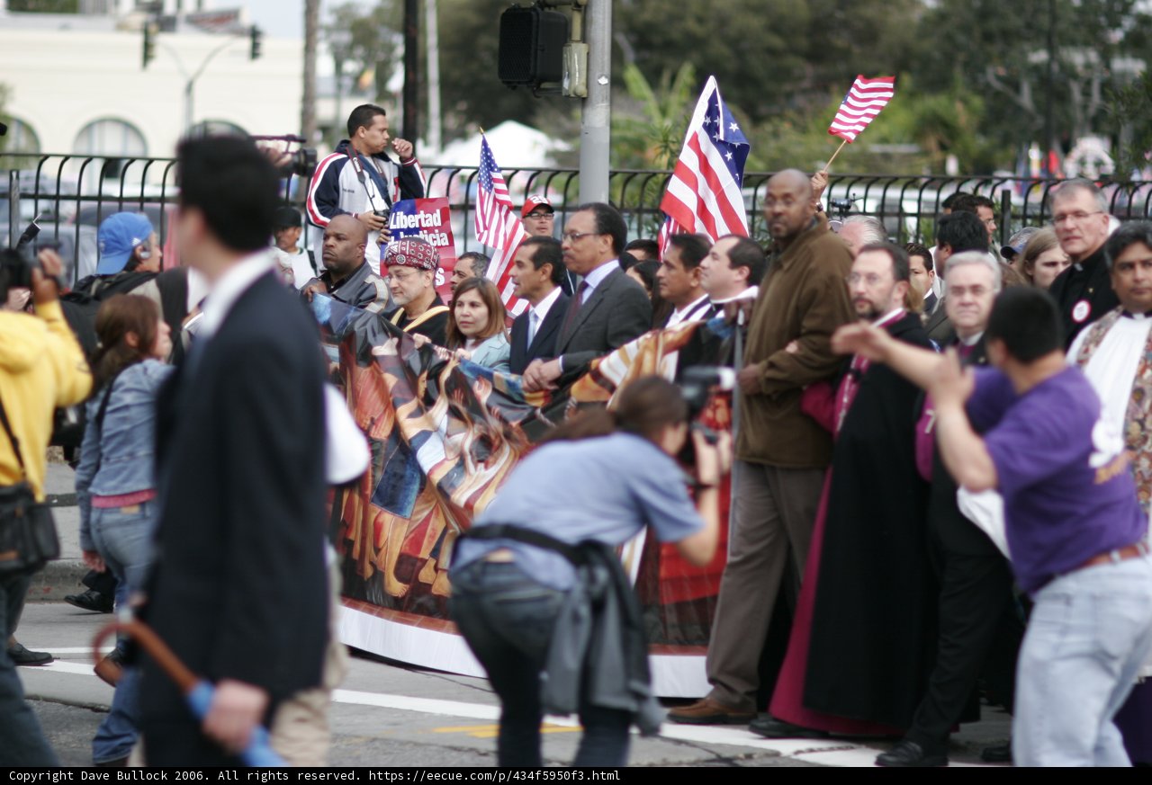 Crowd with Flags