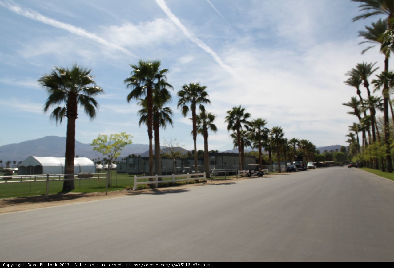 Palm Trees and Sunshine on the Highway