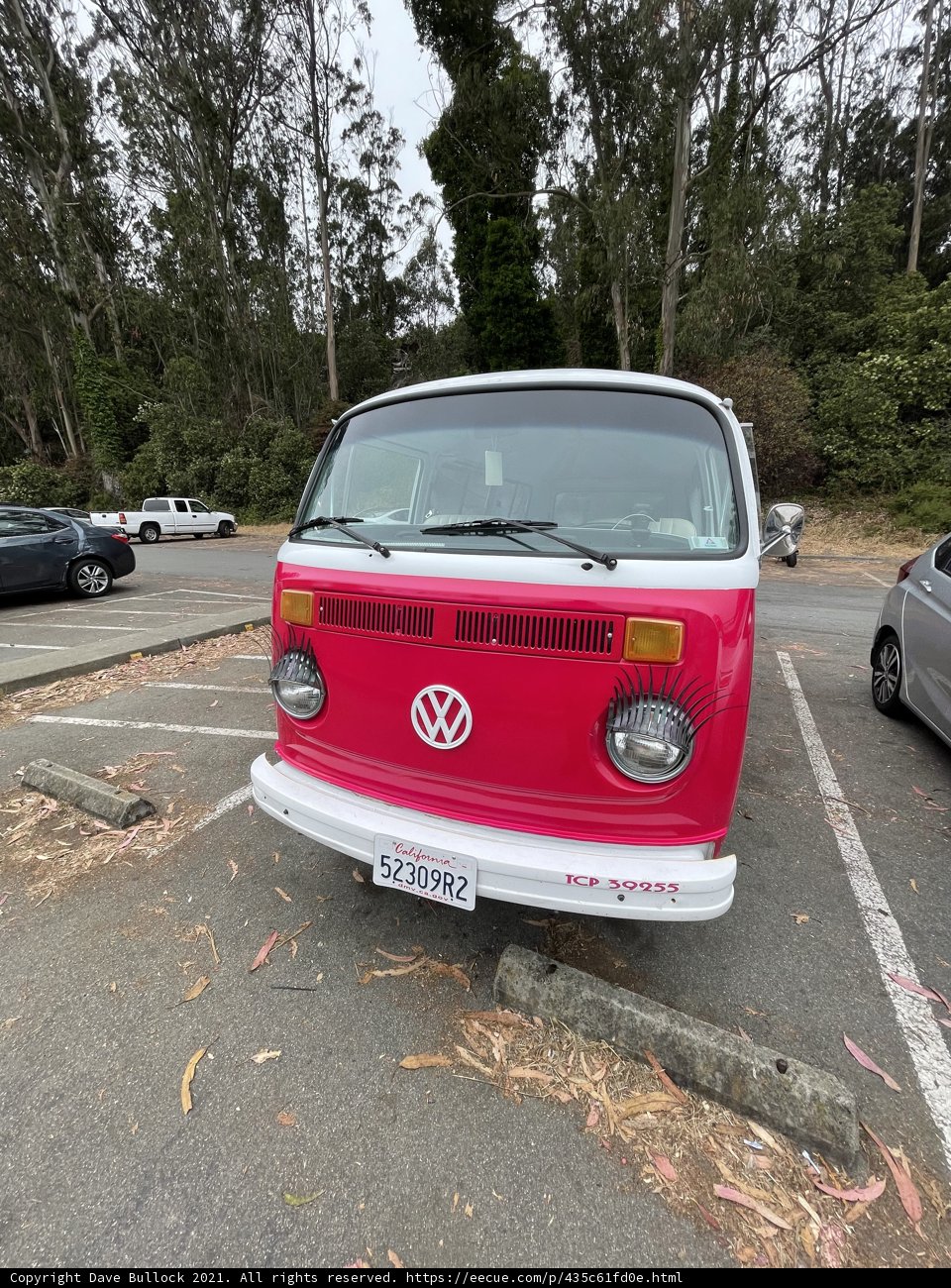 Retro Ride at the Picnic Spot