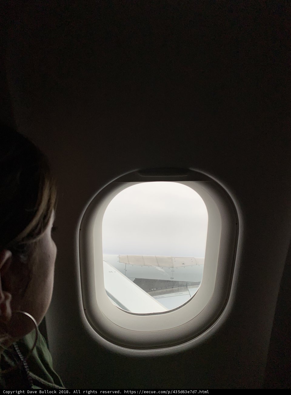 Flying High