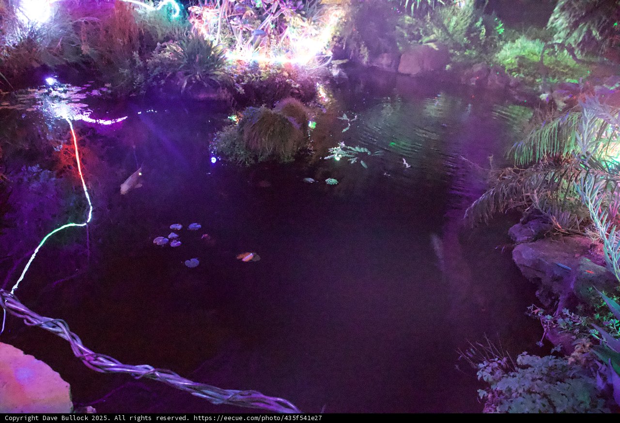 Enchanted Waters of Ruth Bancroft Garden