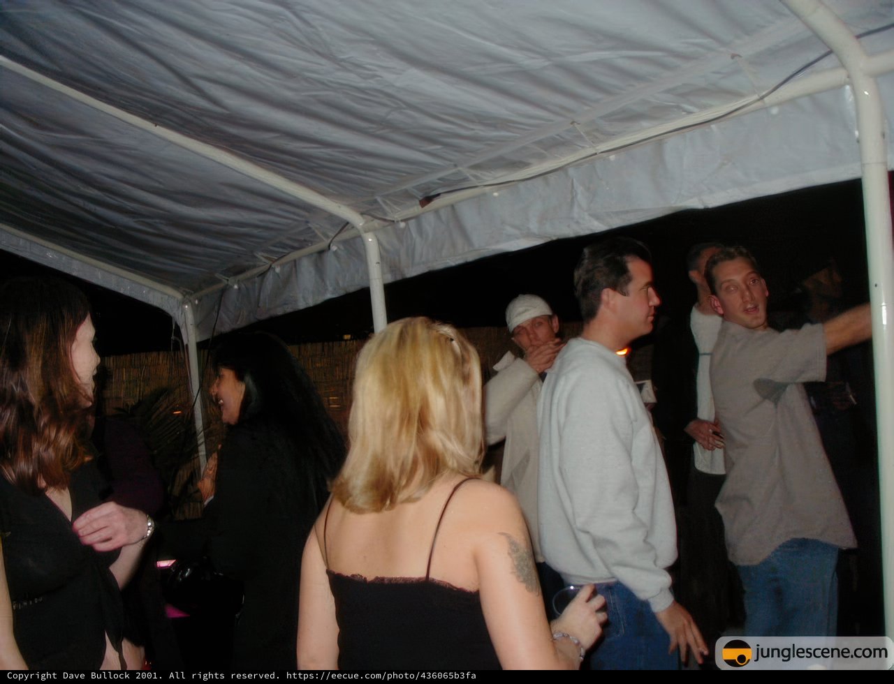 New Year's Eve Celebration under the Night Tent