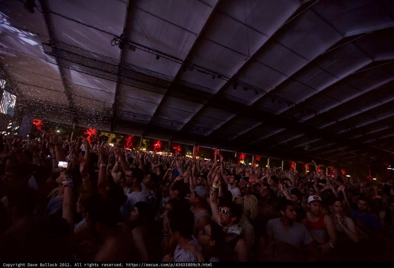 Hands Up at Coachella