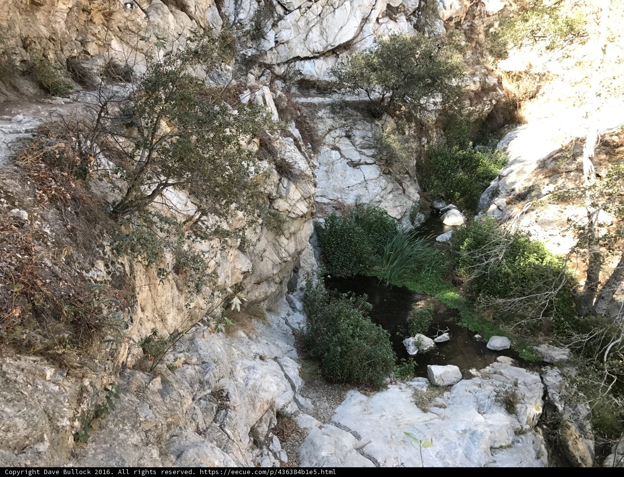 A Serene Wilderness Canyon