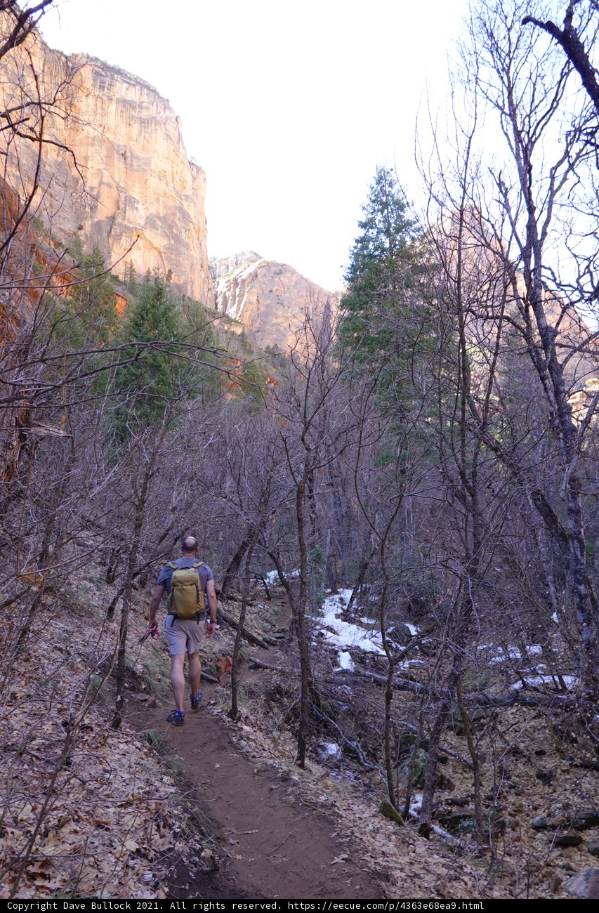 Into the Wilderness