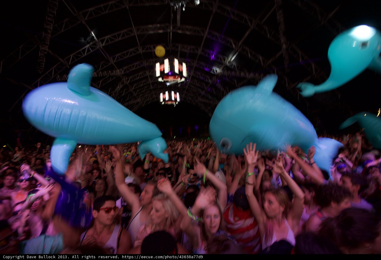 Balloon Blues at Coachella