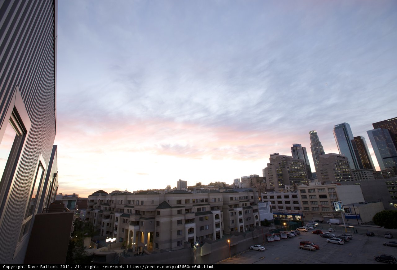 Overlooking the Urban Jungle