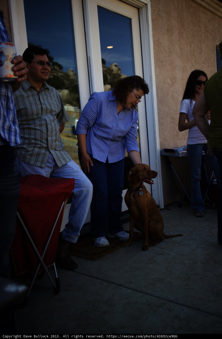 The Woman and Her Furry Companion