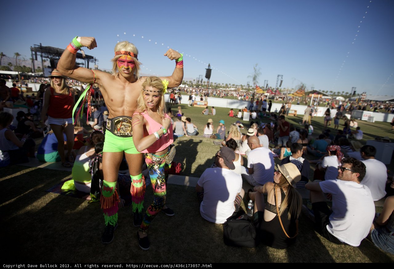 Festival Frenzy