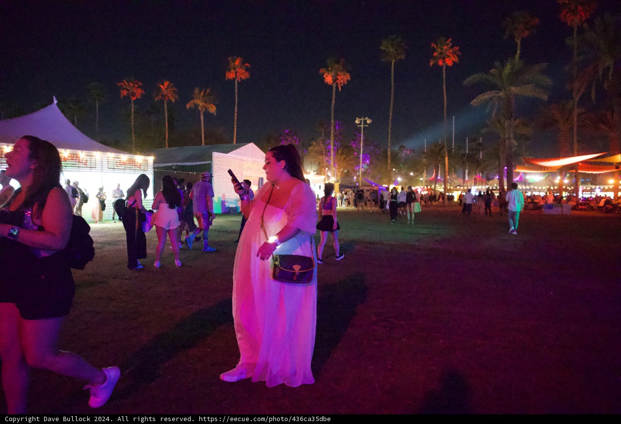 Elegance Under the Palms: Coachella 2024 by Night