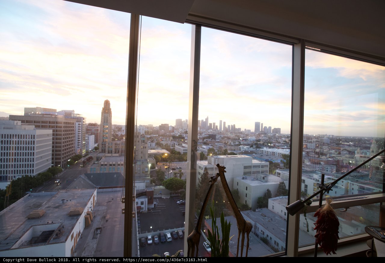 A Glance at the Urban Jungle