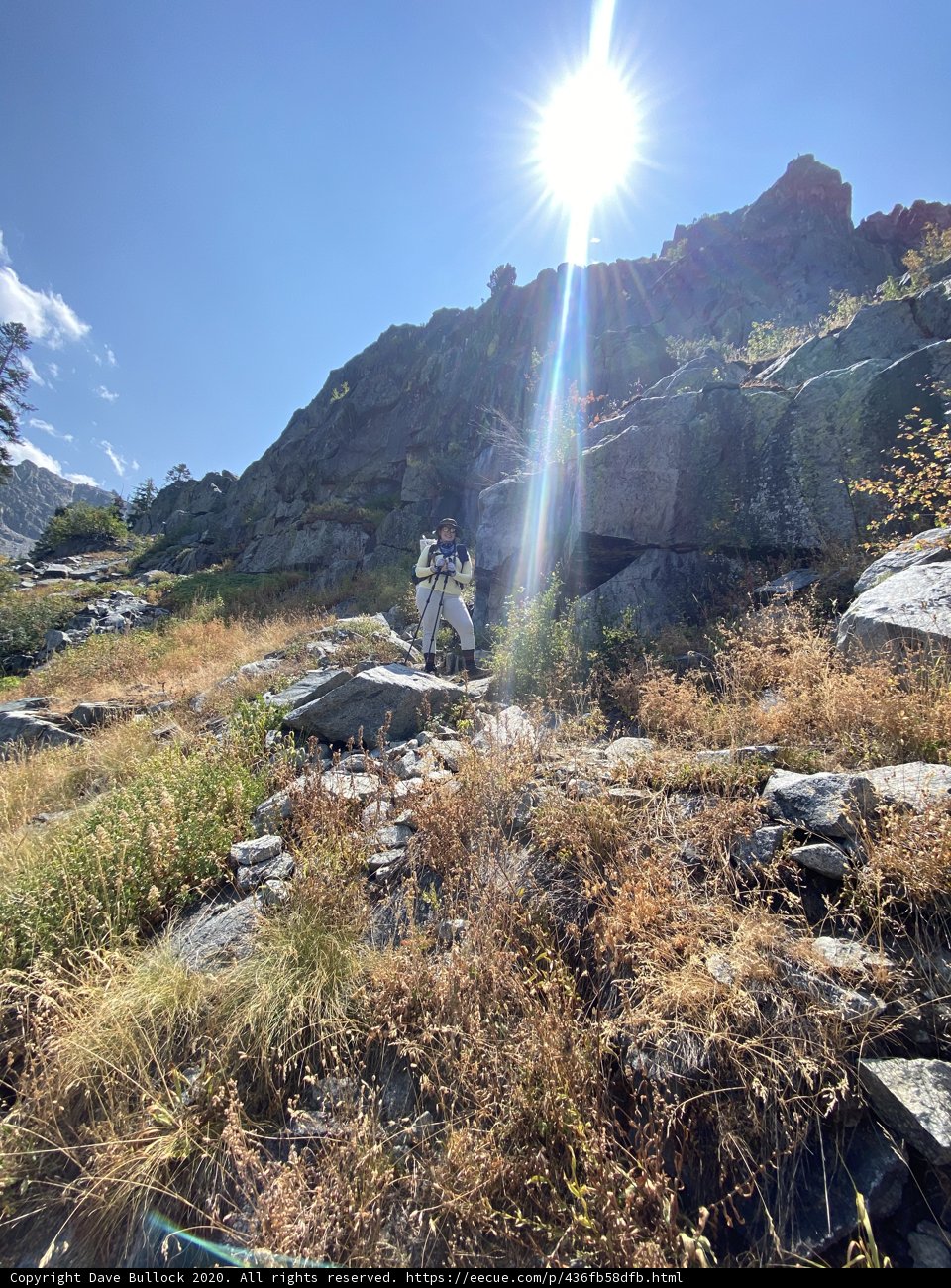 Walking amidst the Wildness