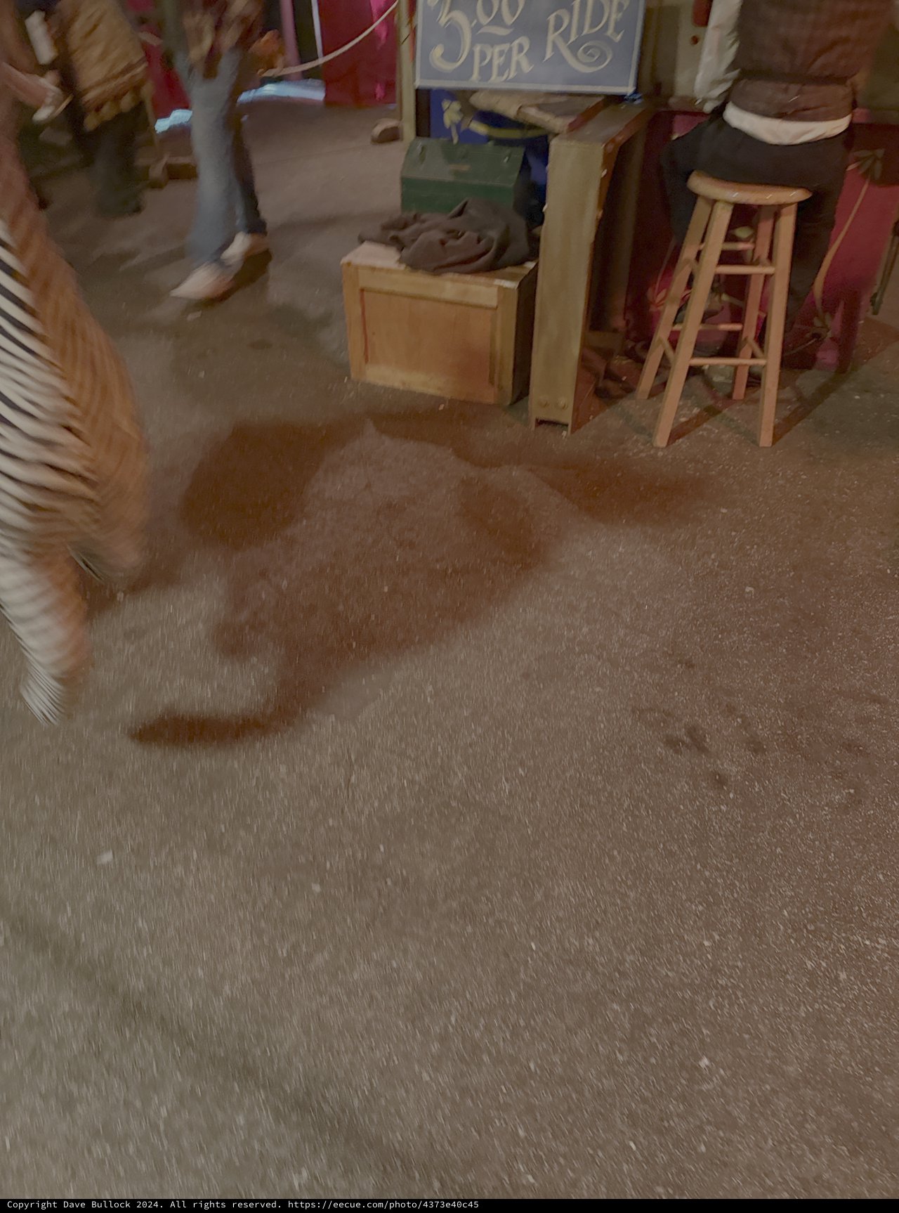 Motion Blurred Indoor Scene with Wooden Furniture