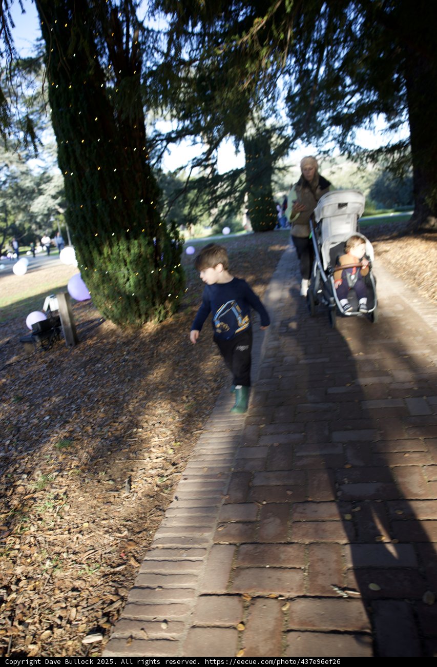 A Stroll Through Thistlewyck