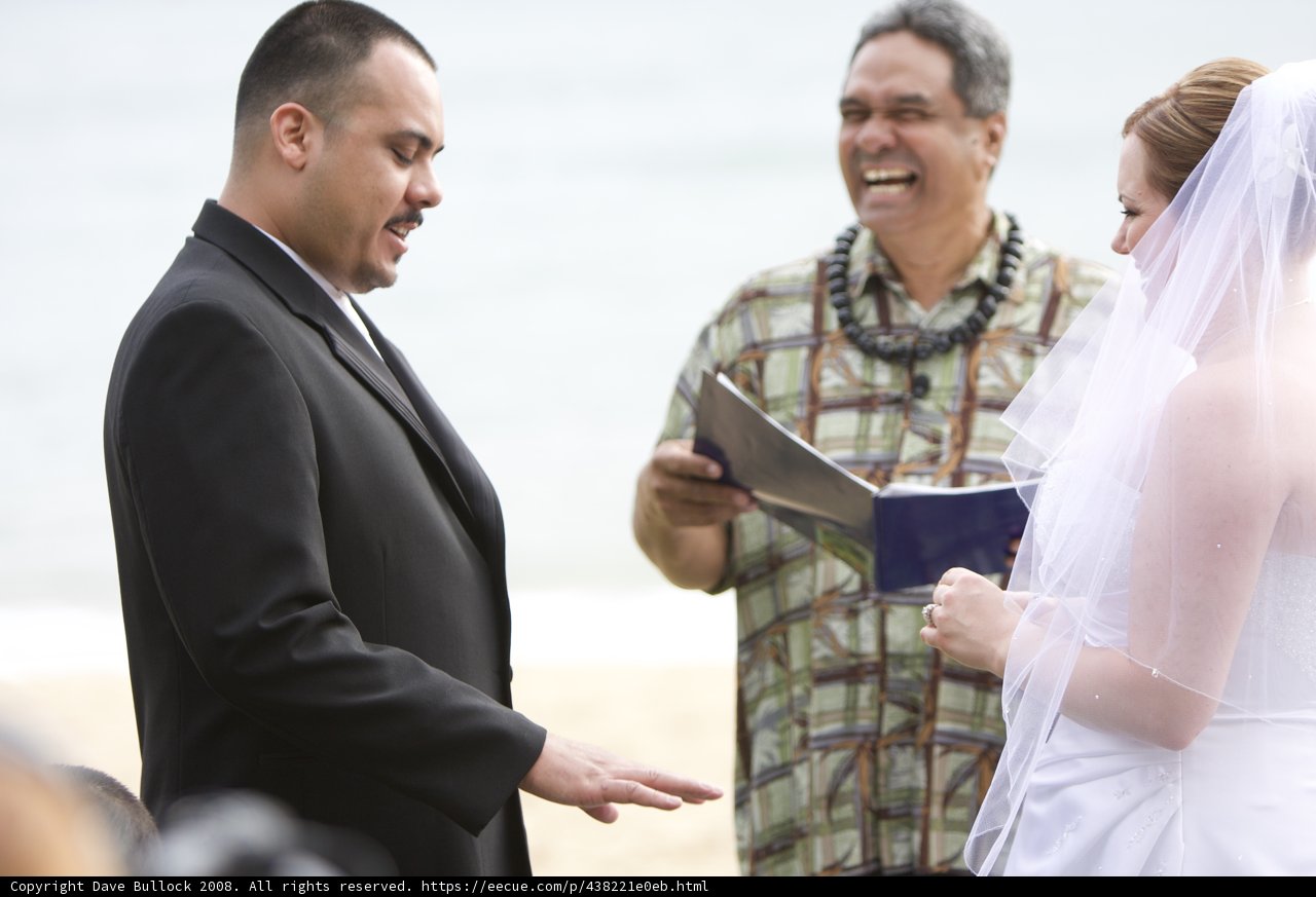 Hawaiian Wedding Bliss
