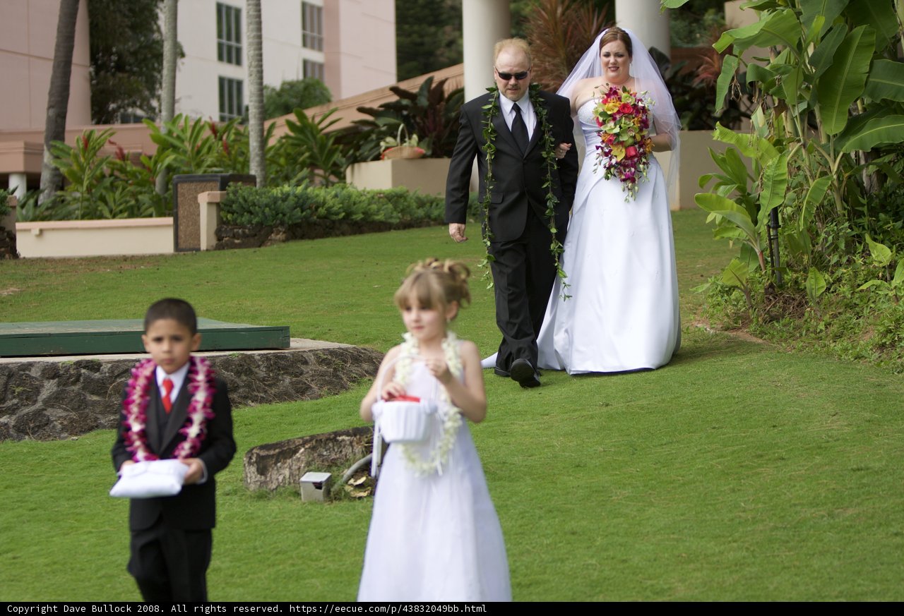 Wedding Walk